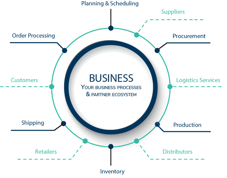 Business processes & partner ecosystem